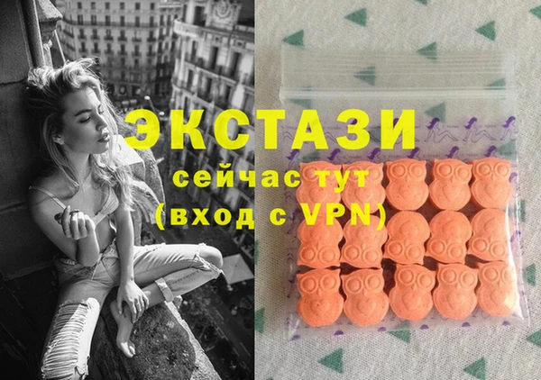 МДПВ Пересвет