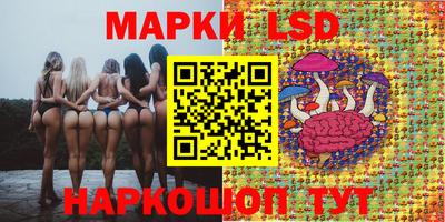 гидропоника Обнинск