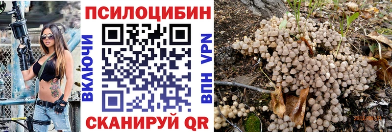 Галлюциногенные грибы GOLDEN TEACHER  купить закладку  Пенза 