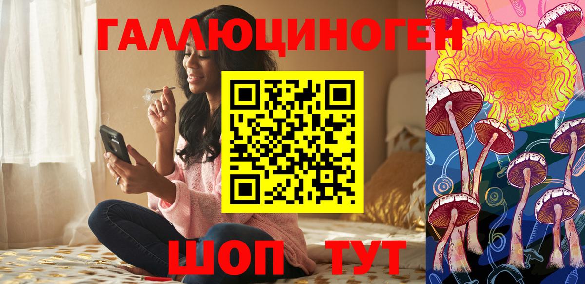 Псилоцибиновые грибы GOLDEN TEACHER  Вход с VPN  Пенза  Галлюциногенные грибы Psilocybe 