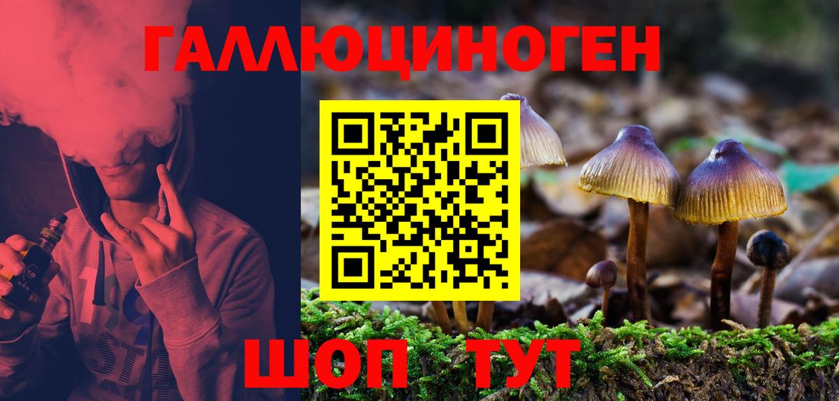 Псилоцибиновые грибы Cubensis Пенза